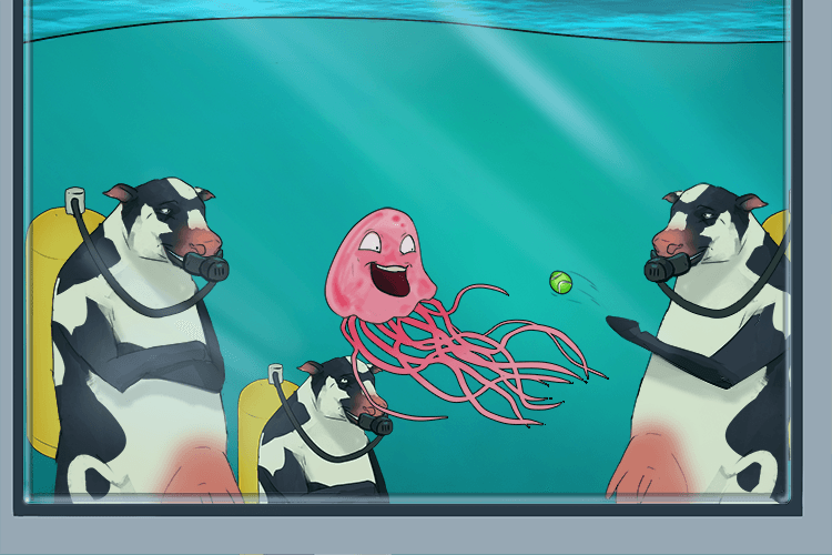 A number of dairy cows went underwater (cnidarians) to play with the jellyfish in the aquarium (aquatic)